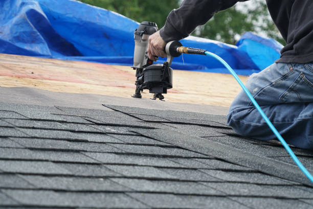 Professional Roofing Contractor in Coldwater, MS